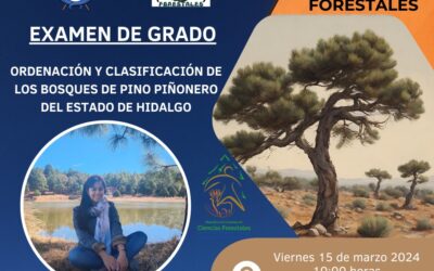 Examen de Grado