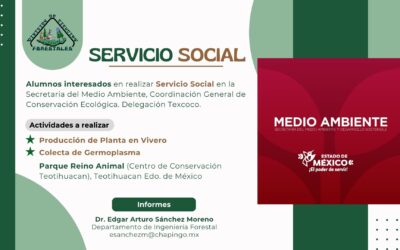 Servicio Social