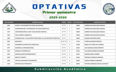 Asignaturas Optativas en la DICIFO